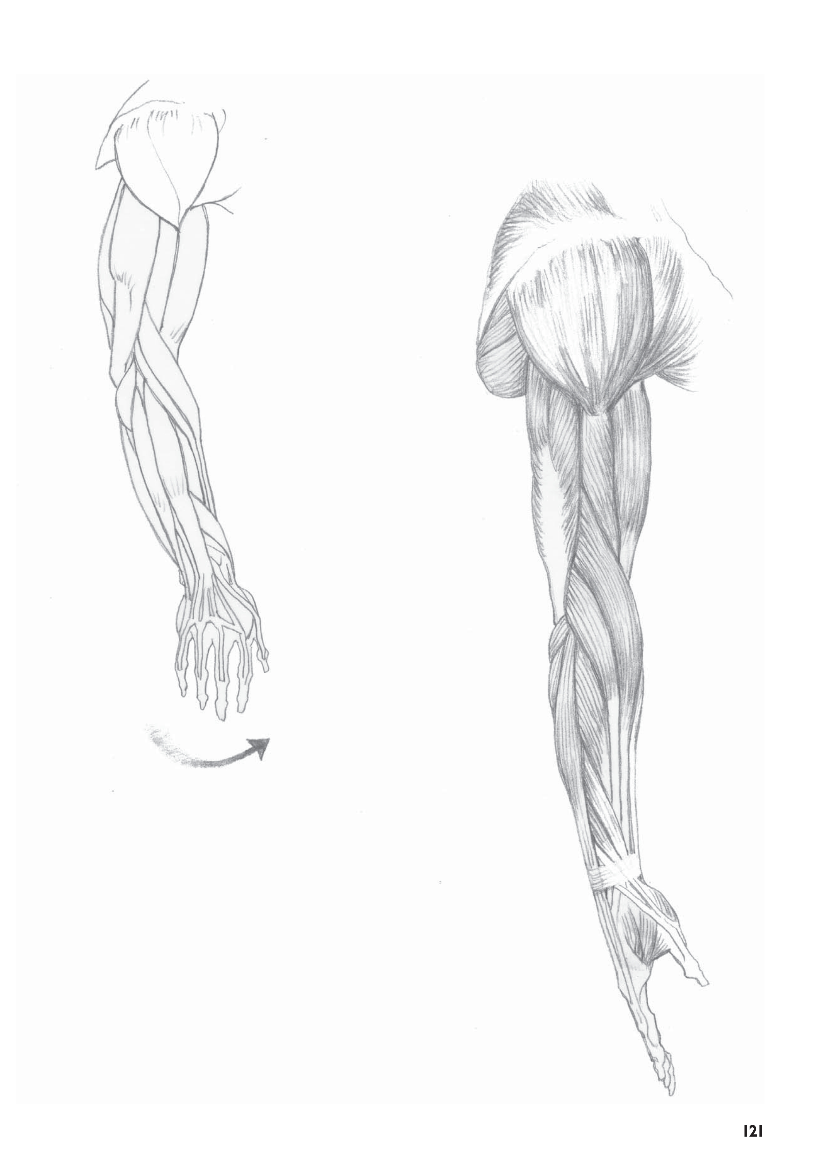آموزش نقاشی طراحی سیاه قلم شهرری
